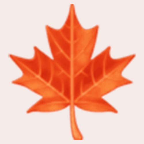 Red maple leaf emoji